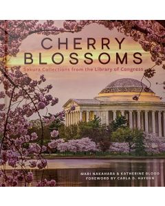Cherry Blossoms