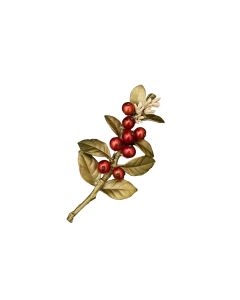 Unroasted Coffee Bean Brooch